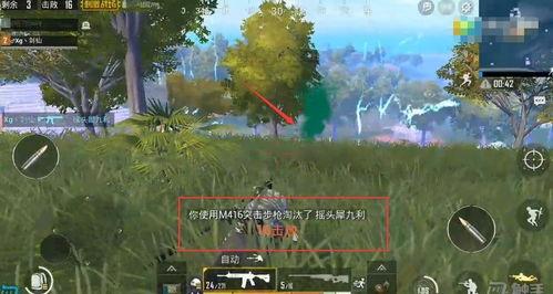 吃鸡圈网红瓜,揭秘幕后故事与精彩瞬间