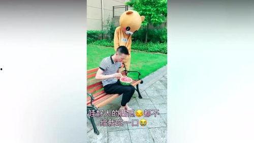 吃瓜小熊网红叫什么来着,揭秘网红“吃瓜小熊”的成名之路
