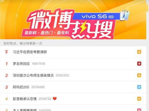 吃瓜网忘记密码,吃瓜网密码遗忘？揭秘一键找回密码攻略