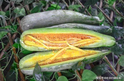 两颗牙网红吃瓜,两颗牙的瓜料大揭秘