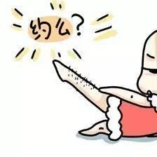 吃瓜网看兜儿,兜儿背后的故事与真相