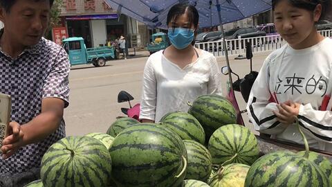 定远网红吃瓜事件,揭秘网络舆论背后的真相与反思