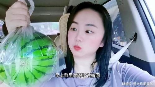 网红事件网站吃瓜,热点事件背后的真相与反思