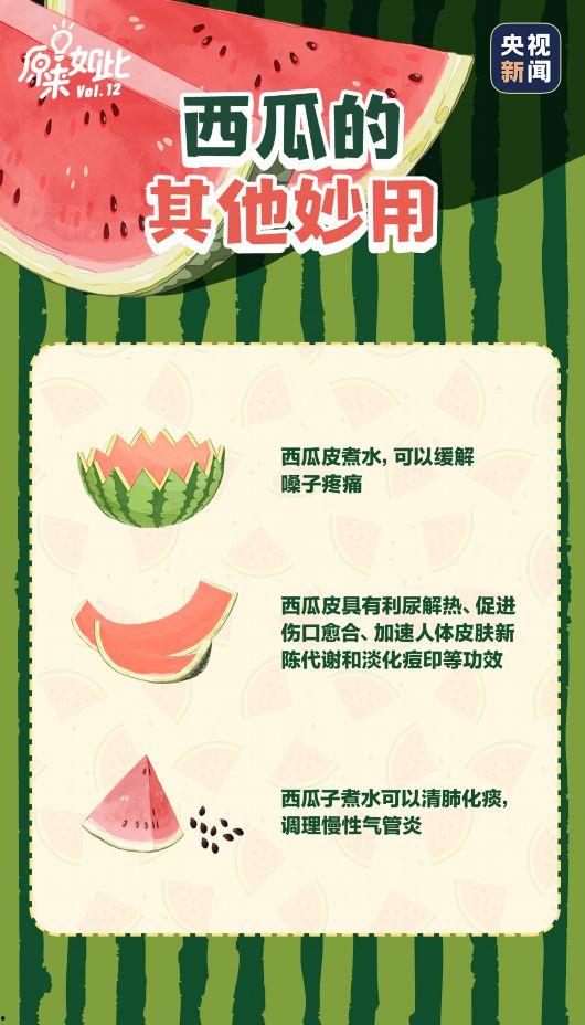 吃瓜官网首页进入,一站式美食探索之旅