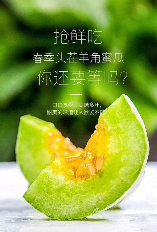夸克吃网红的瓜,夸克探秘美食江湖