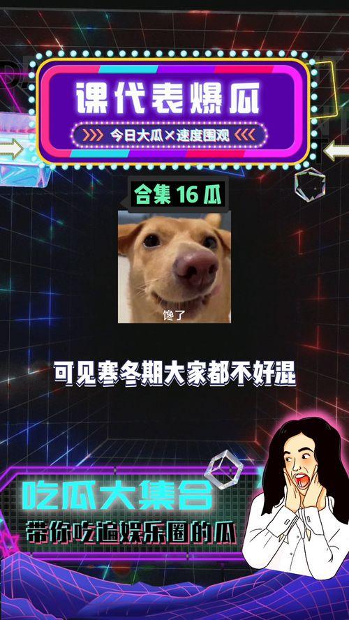 娱乐吃瓜君被网暴,网络素养亟待提升